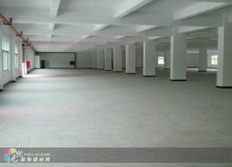 深圳建材市場與西麗工廠裝修 融合獨特創意與專業建材，打造卓越工業空間